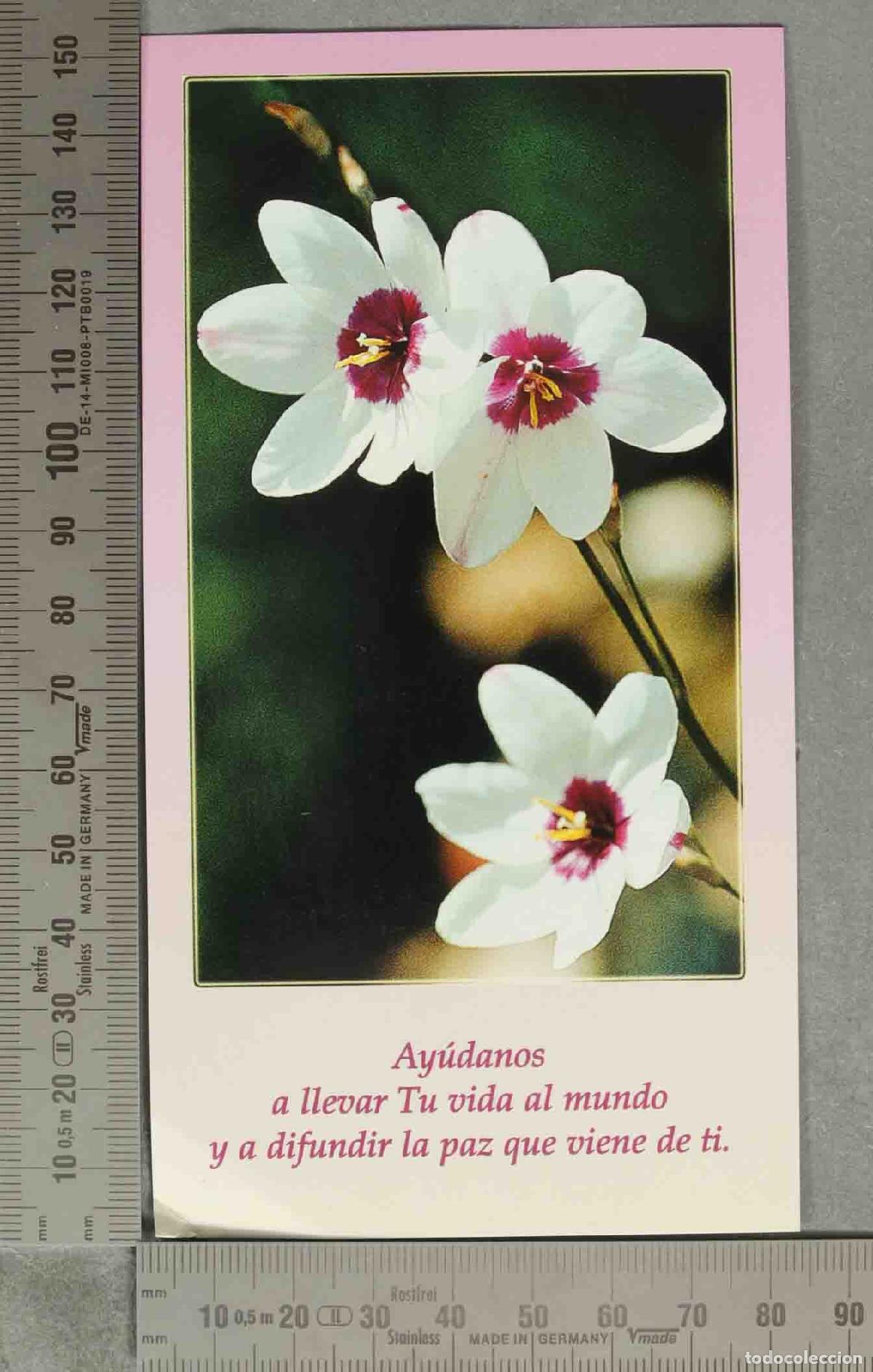 Cartes Postales: ESTAMPA. Ay&uacute;danos a llevar Tu vida al mundo y a difundir la paz que viene de ti.