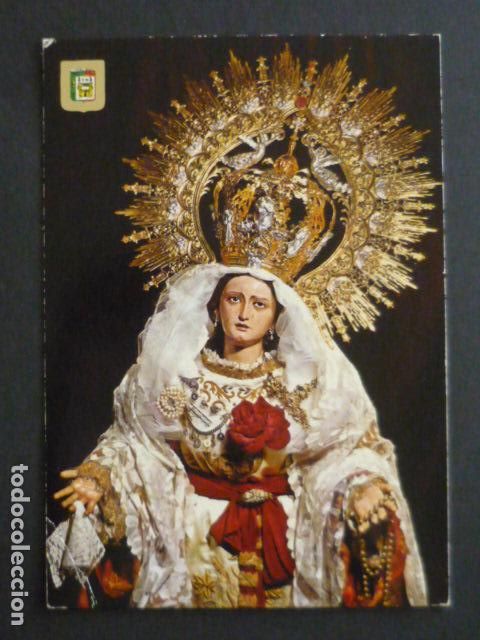 Postales: MALAGA SEMANA SANTA MARIA SANTISIMA DE LA AMARGURA POSTAL