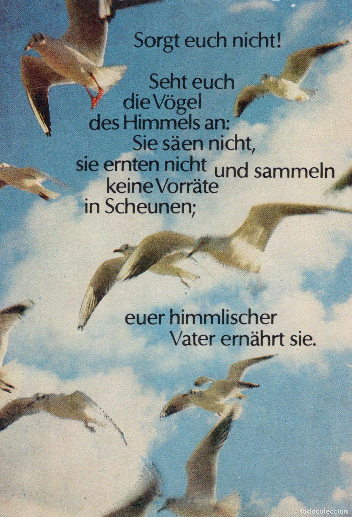 Postales: Topics Christianity Seagulls Sky Biblical Quote Unposted *YBB842