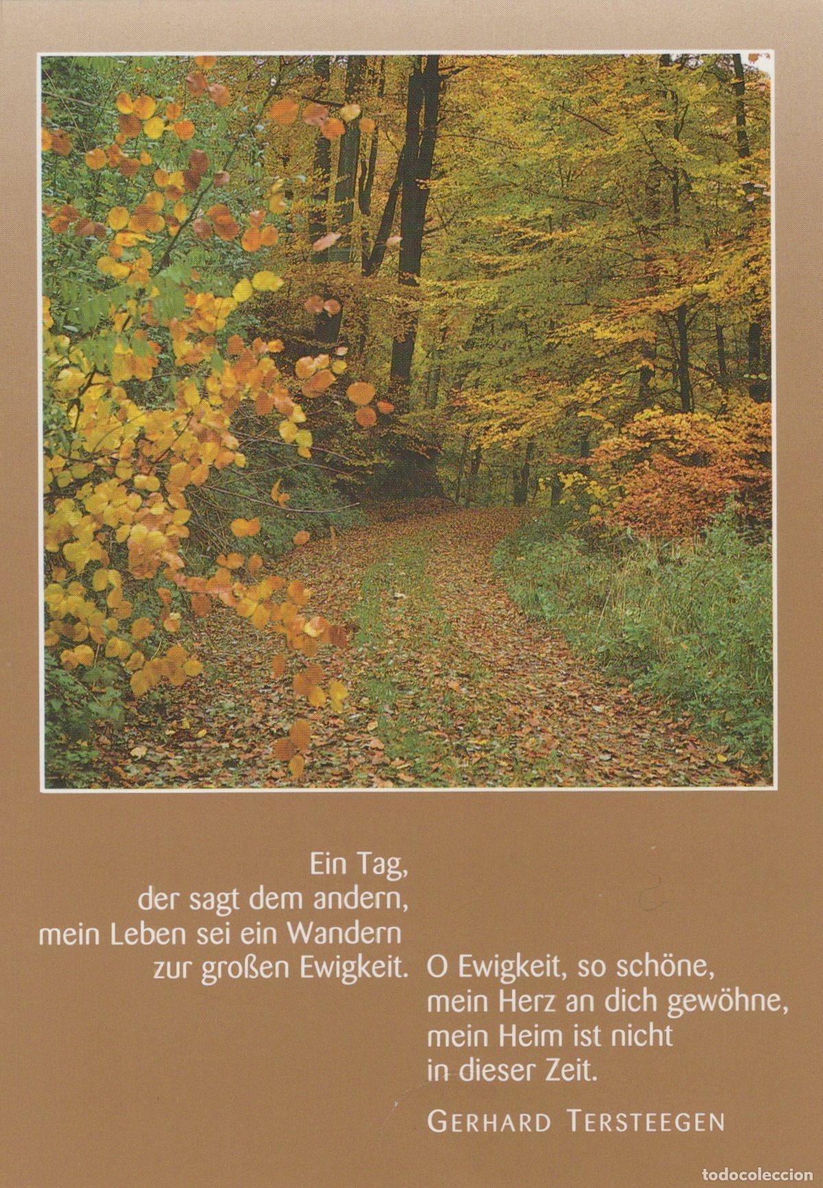 Postales: Topics Christianity Autumn Forest Path Quote Unposted *YBB872