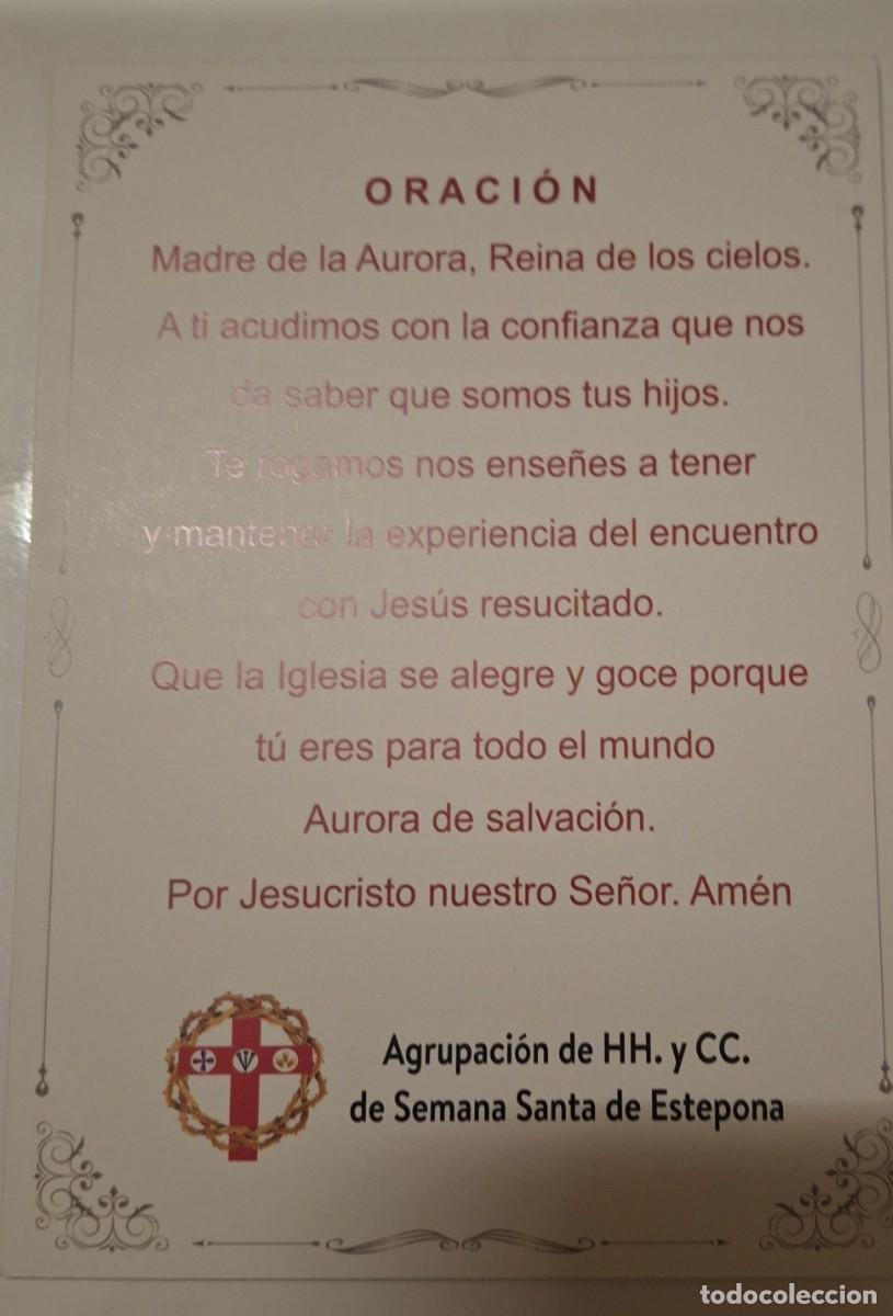 Postales: V.de la Aurora.Estepona.Malaga - Foto 2
