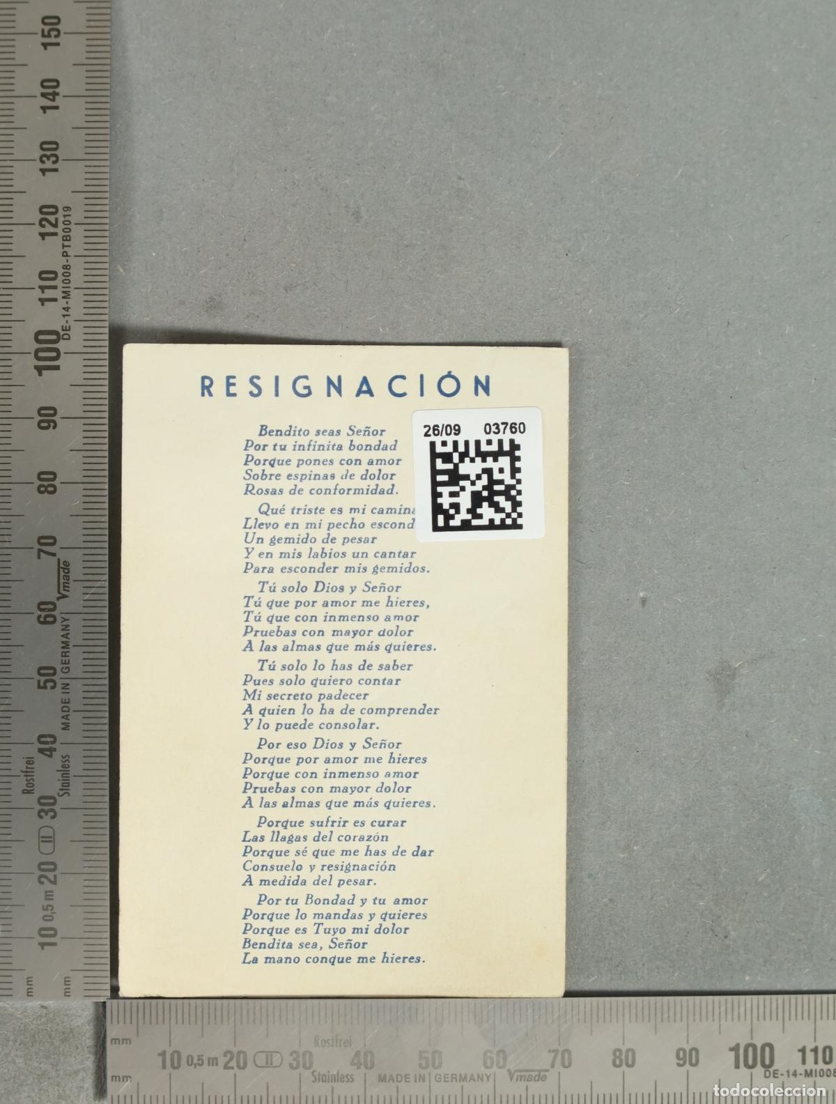 Postales: ESTAMPA. Bone Pastor - Foto 2