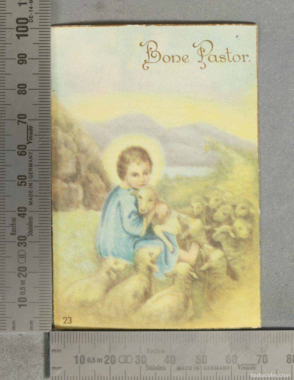 Postales: ESTAMPA. Bone Pastor - Foto 1