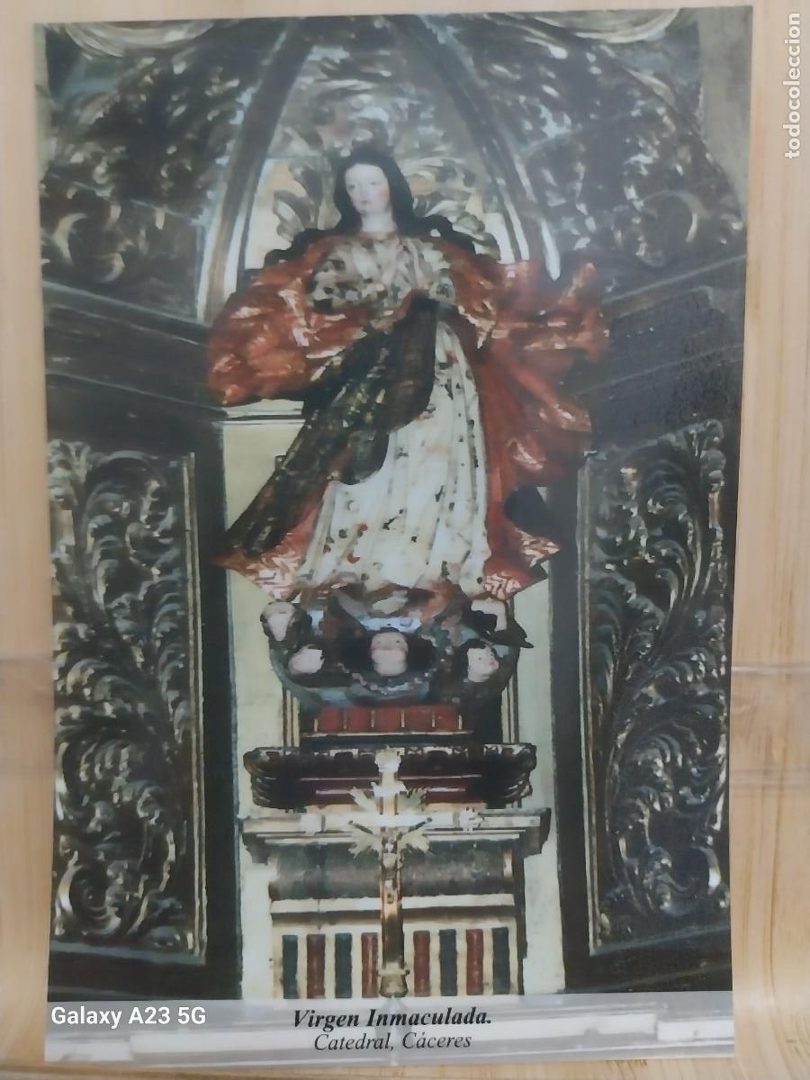 Postales: VIRGEN NTRA SRA INMACULADA CONCEPCION CACERES TARJETA TAMA&Ntilde;O POSTAL DORSO BLANCO