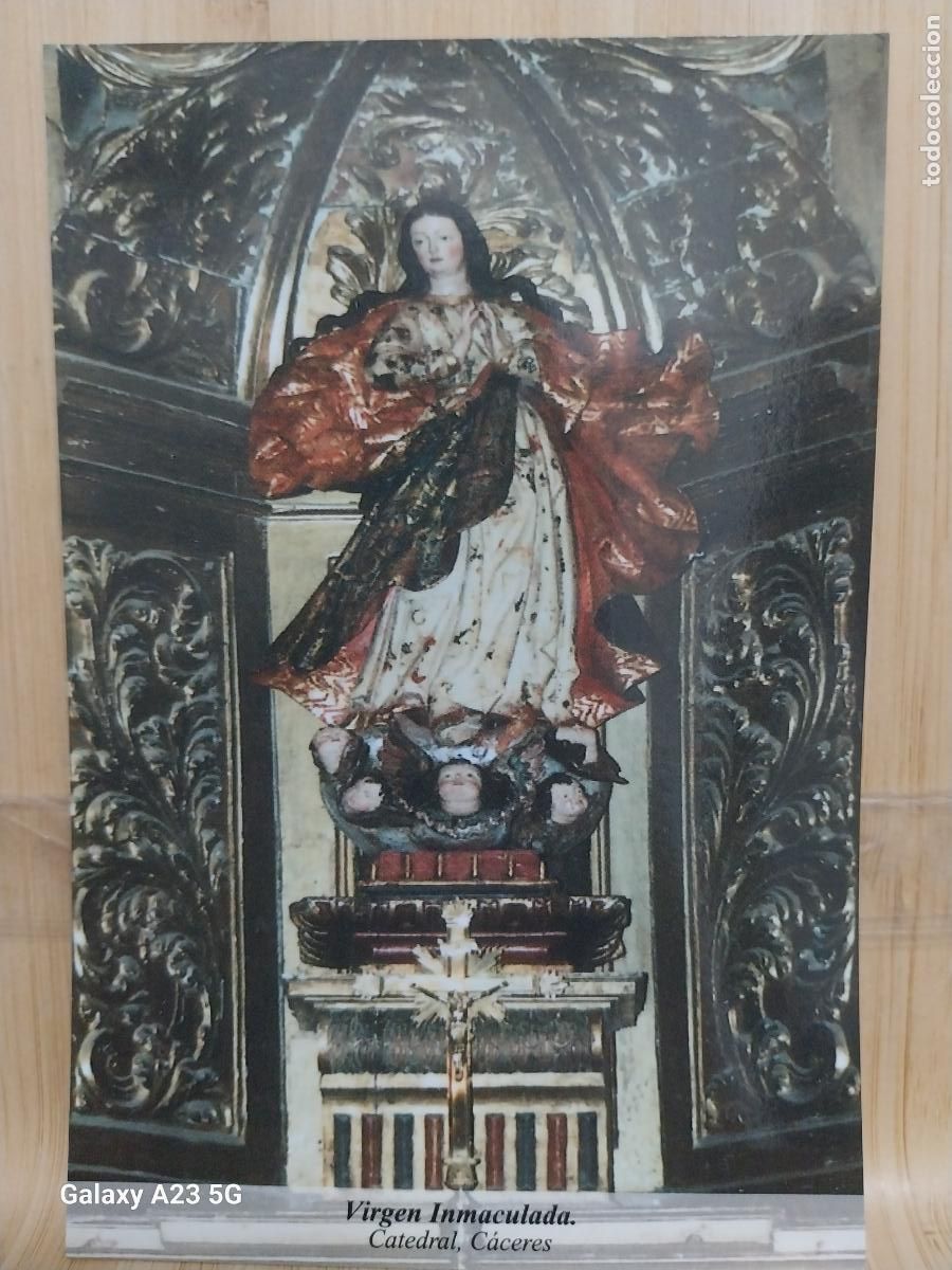 Postales: VIRGEN NTRA SRA INMACULADA CONCEPCION CACERES TARJETA TAMA&Ntilde;O POSTAL + DORSO BLANCO