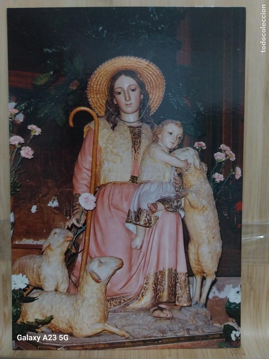 Postales: CAPUCHINOS VIRGEN NTRA SRA DIVINA PASTORA ALICANTE ED FISA SC ORIGINAL --