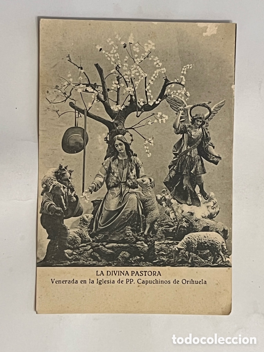 Postais: ORIHUELA. Postal LA DIVINA PASTORA. Venerada en la Iglesia de PP. Capuchinos de Orihuela (h.1920?)