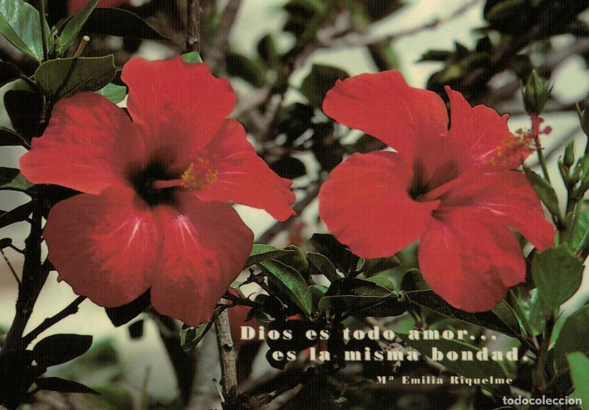 Postcards: Dios es todo amor... es la misma bondad / Mar&iacute;a Emilia Riquelme