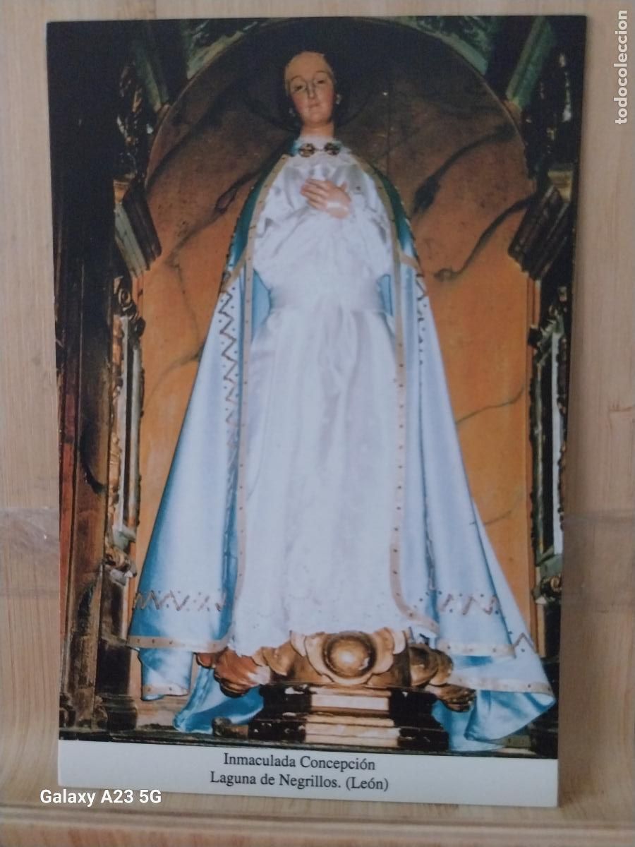 Postcards: LAGUNA DE NEGRILLOS VIRGEN NTRA SRA DE LA INMACULADA CONCEPCION LEON TARJETA TAMA&Ntilde;O POSTAL