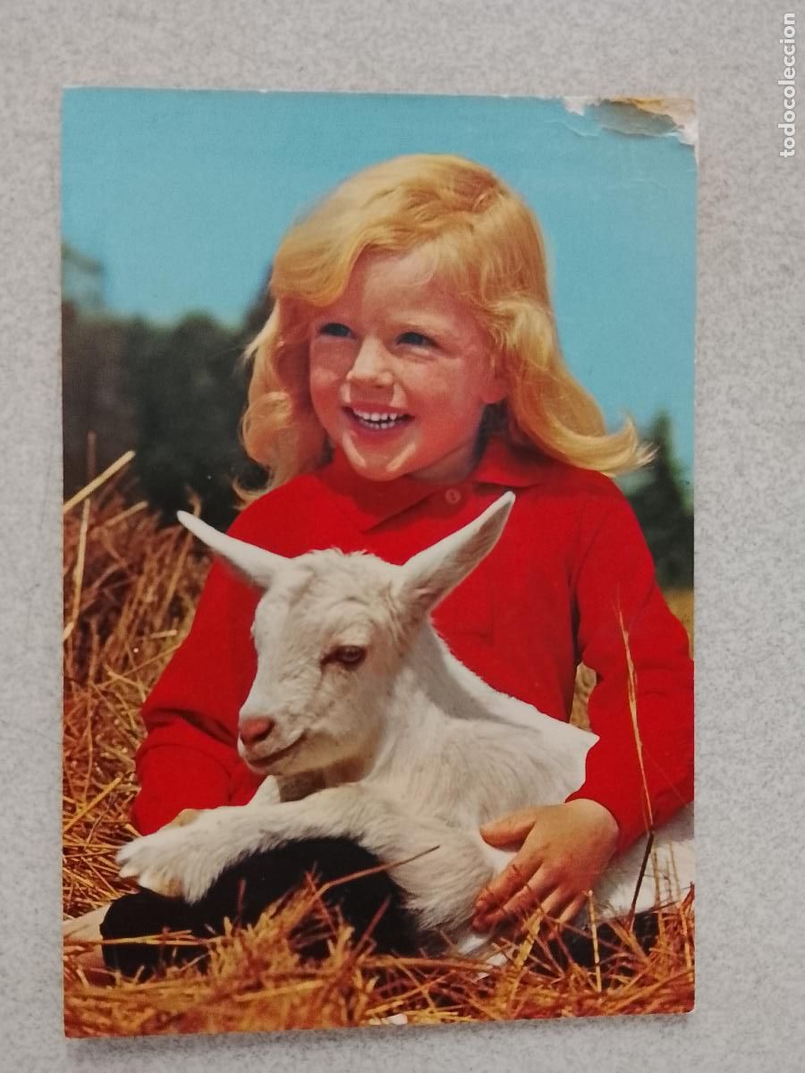 Postales: ANTIGUA POSTAL NI&Ntilde;A CON OVEJITA