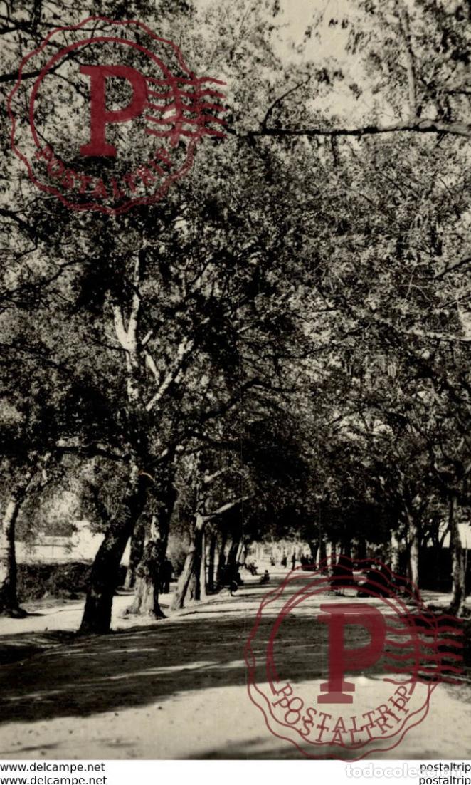 Postales: ALFARO LOGRO&Ntilde;O PASEO DE LA FLORIDA - Foto 1