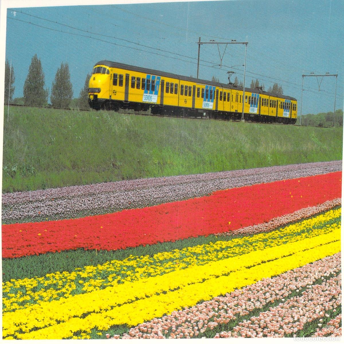 Postales: Postal de Tren Amarillo en Campos de Tulipanes, Holanda