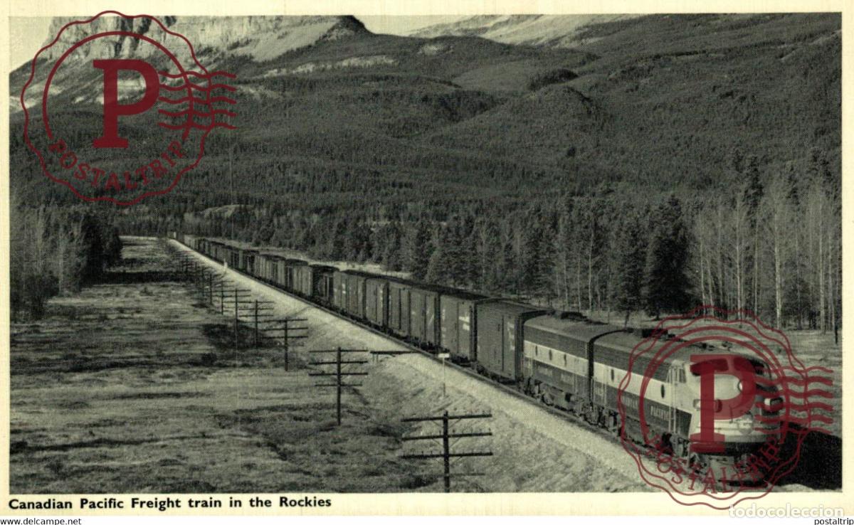 Postales: CANADIAN PACIFIC FREIGHT TRAIN IN THE ROCKIES CANADA TREN TRAIN TREIN.