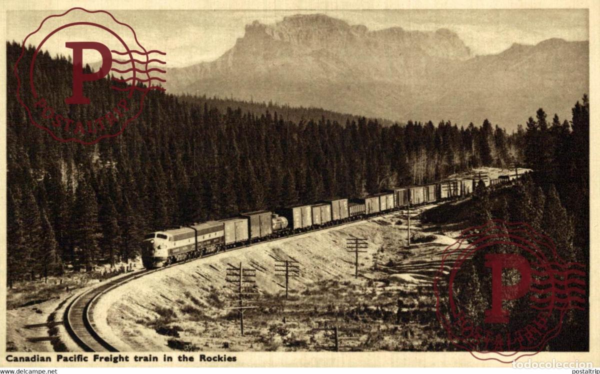 Postales: CANADIAN PACIFIC FREIGHT TRAIN IN THE ROCKIES CANADA TREN TRAIN TREIN.