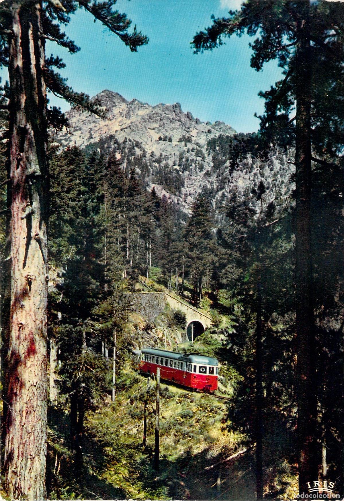 Postales: Postal de C&oacute;rcega Bosque de Vizzavona con Tren