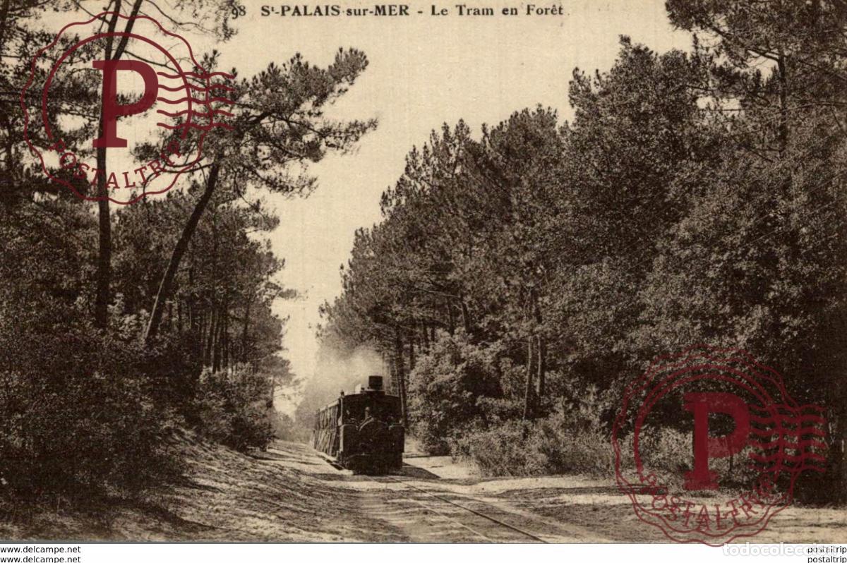 Postales: 17 SAINT PALAIS SUR MER LE TRAM EN FORET