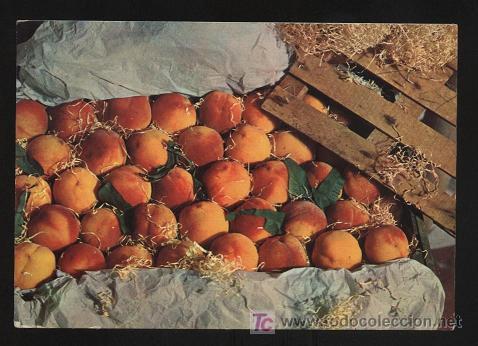 Postales: postal-12-Serie V. (sin escribir)