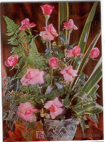 Postales: POSTAL STEREORAMA - ROSAS ROSA - Foto 1