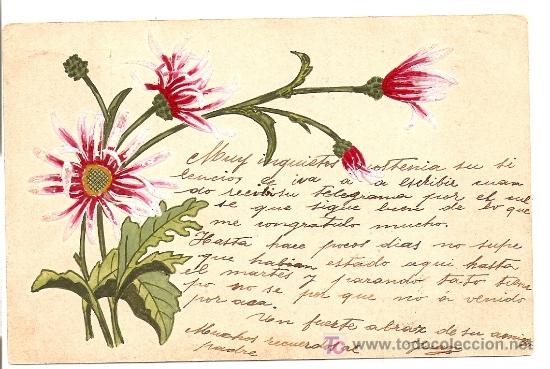 Postais: Postal de plantas 1901-3