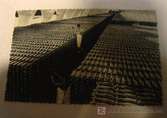 Postales: Postal Codorniu, una bodega en invierno - Foto 1