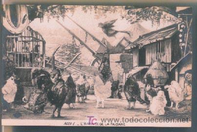 Postales: teatro: chantecler, de edmond rostand - Foto 1