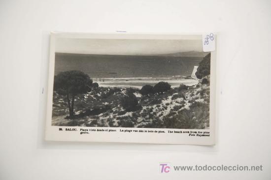 Postales: salou, playa vista desde el pinar - Foto 1