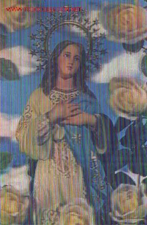 Postales: ESTEREOSCOPICA DE LA INMACULADA CONCEPCION - Foto 1