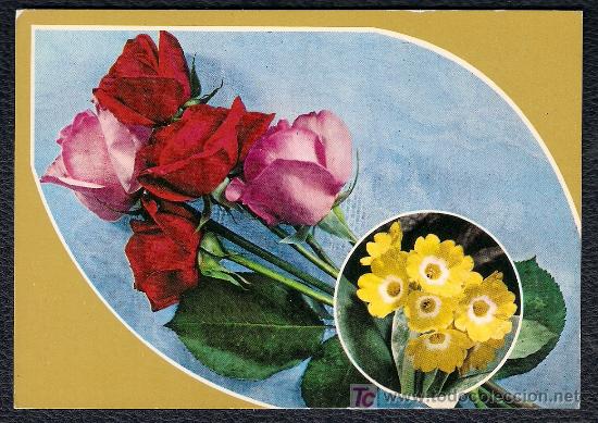 Cartoline: POST&Aacute;L CON LA TEM&Aacute;TICA DE FLORES - ROSAS
