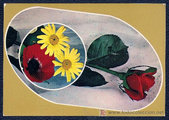 Postais: POST&Aacute;L CON LA TEM&Aacute;TICA DE FLORES - ROSAS