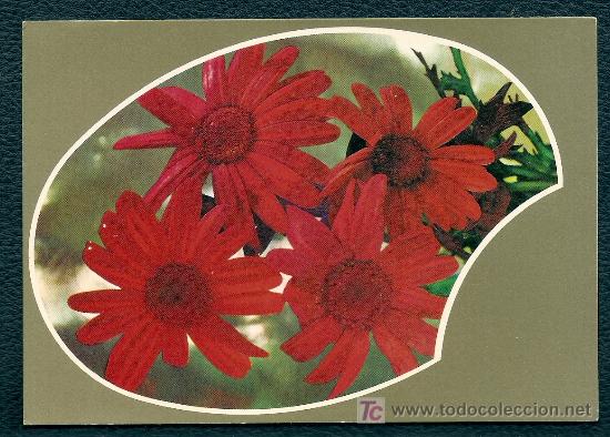 Cartoline: POST&Aacute;L CON LA TEM&Aacute;TICA DE FLORES - ROSAS
