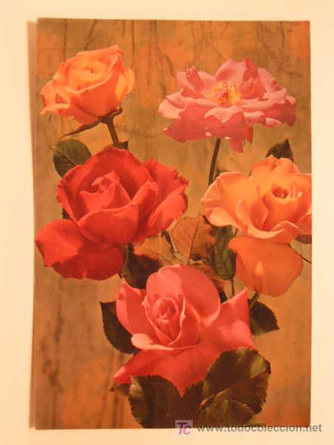 Postales: POSTAL DE ROSAS A&Ntilde;O 1978