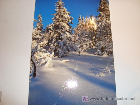 Postkarten: POSTAL, HARSLAG