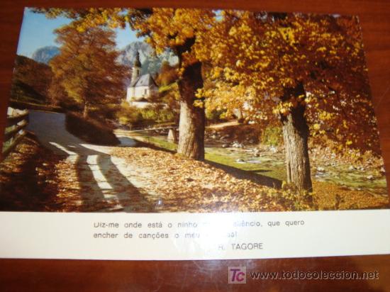 Postales: r. tagore. postal de portugal, circulada - Foto 1