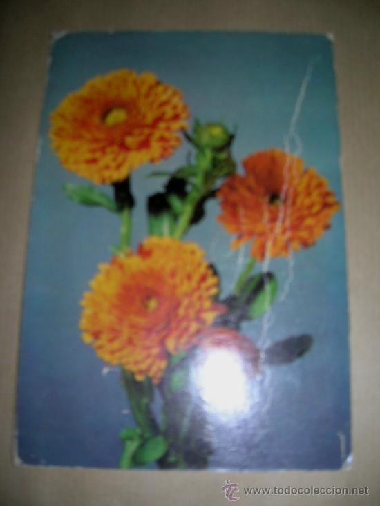Postales: Antigua tarjeta postal, n&ordm; 8: Flores, Coronados amarillos. A&ntilde;os 60-70...