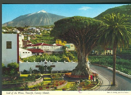 Postales: POSTAL DE TENERIFE. - Foto 1