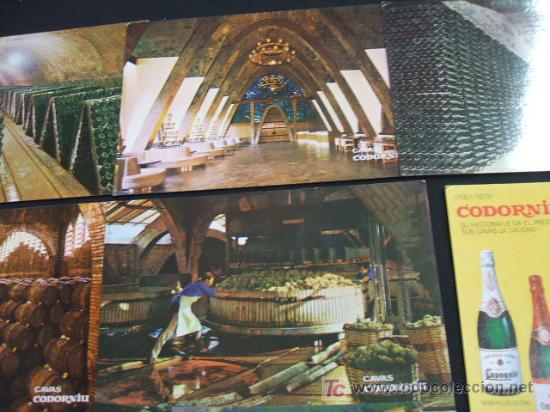 Postales: LOTE 7 POSTALES - CAVAS  CODORNIU - - Foto 3