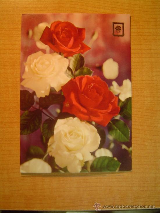 Cartes Postales: POSTAL ROSAS  SIN CIRCULAR
