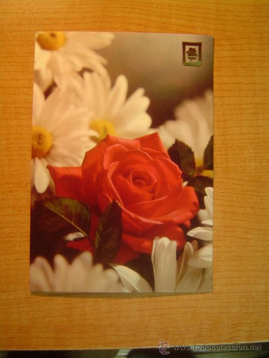 Postales: POSTAL ROSA SIN CIRCULAR - Foto 1