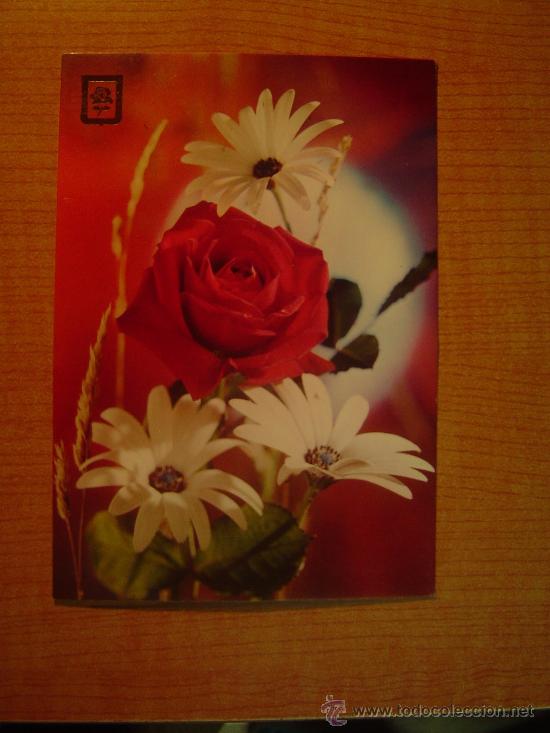 Postales: POSTAL ROSA SIN CIRCULAR - Foto 1