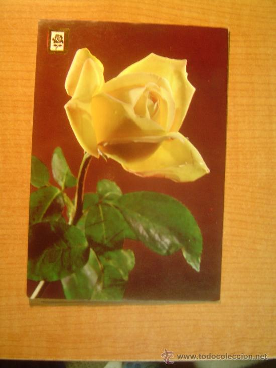 Postales: POSTAL ROSA SIN CIRCULAR - Foto 1