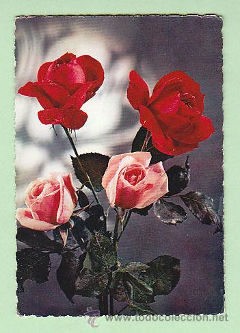 Postales: rosas (a&ntilde;o 1957) - Foto 1