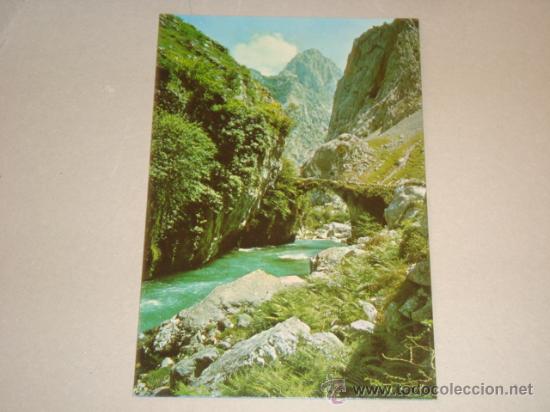 Postales: postal picos de europa , puente de jaya