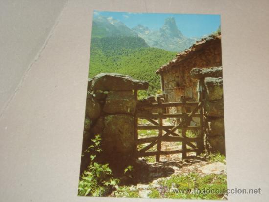 Postales: postal picos de europa, naranjo de bulnes