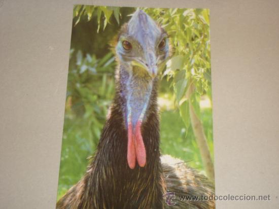 Postales: postal temaiken