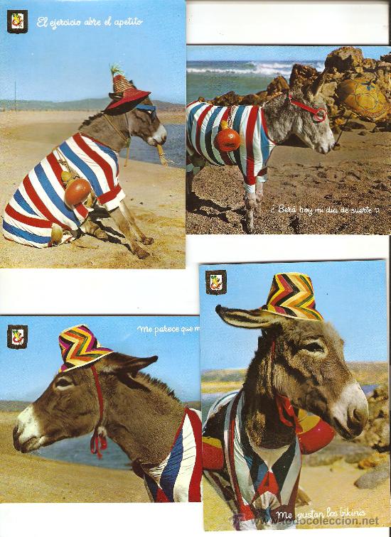 Postales: 4 POSTALES  SERIE ANIMALES COMICOS - Foto 1