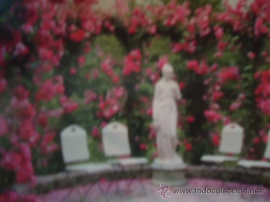 Postcards: BONITA POSTAL FLORES, ROSAS