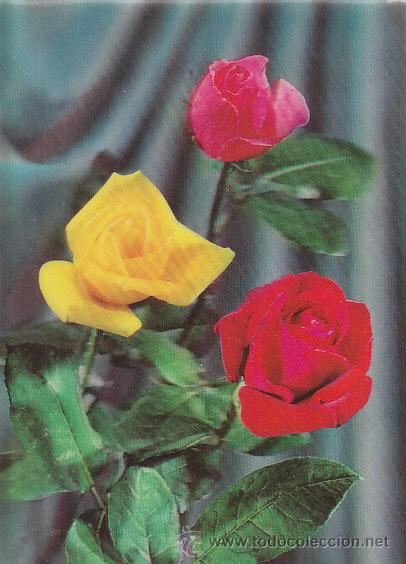 Postales: Rosas, postal tridimensional (da sensaci&oacute;n de profundidad) - Foto 1