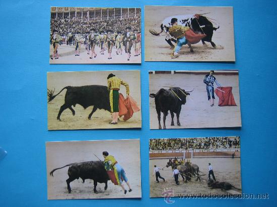 Postales: LOTE DE 6 POSTALES DISTINTAS DE TOROS - Foto 1