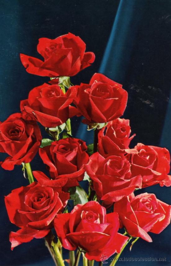 Postales: RAMO ROSAS ROJAS EDICIONES RENI ESCRITA CIRCULADA SELLO - Foto 1