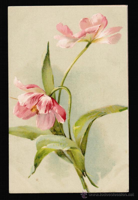 Cartes Postales: POST&Aacute;L CON LA TEM&Aacute;TICA DE FLORES
